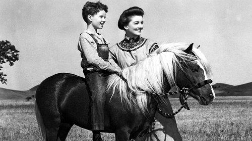 The Red Pony filmas žiurėti online