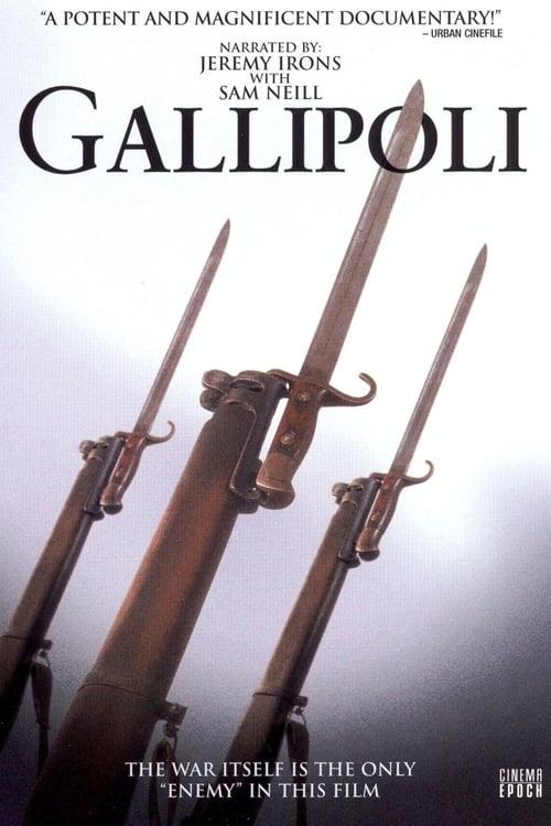 Gallipoli filmas online