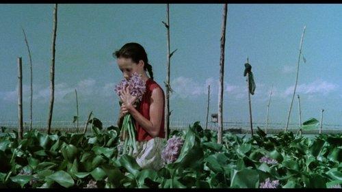 A Speck in the Water filmas žiurėti online