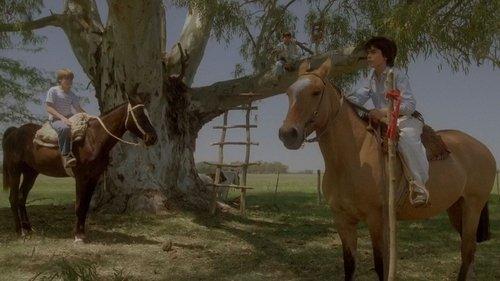 Summer of the Colt filmas žiurėti online