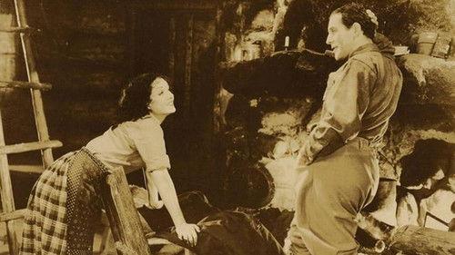 The Storm filmas žiurėti online