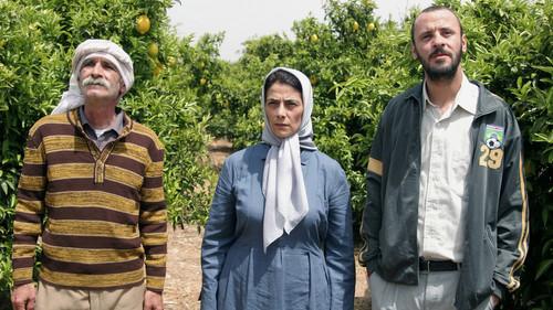 Lemon Tree filmas žiurėti online