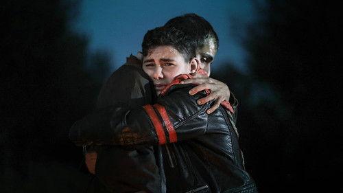 Zoros Solo filmas žiurėti online