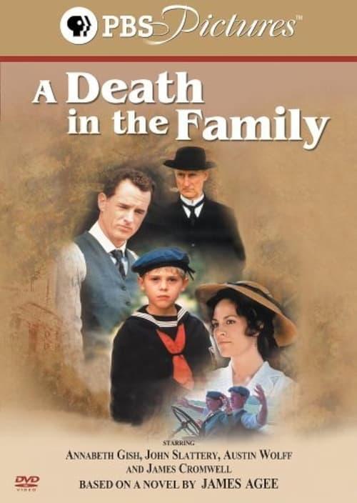 A Death in the Family filmas online