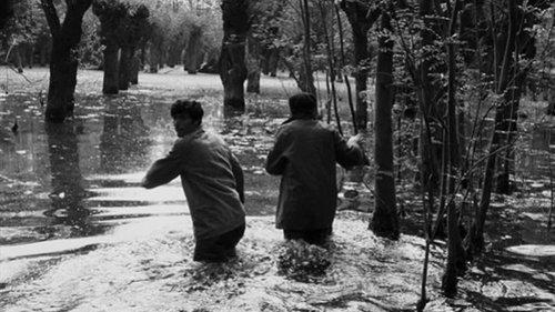 Black Birds filmas žiurėti online