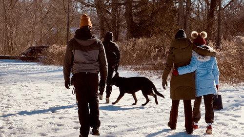 Not My Dog filmas žiurėti online