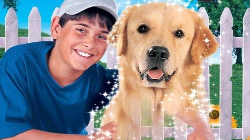 My Ghost Dog filmas žiurėti online