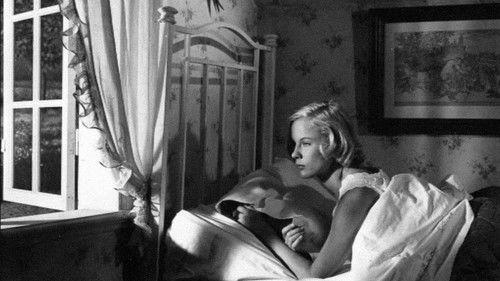 Summer Place Wanted filmas žiurėti online