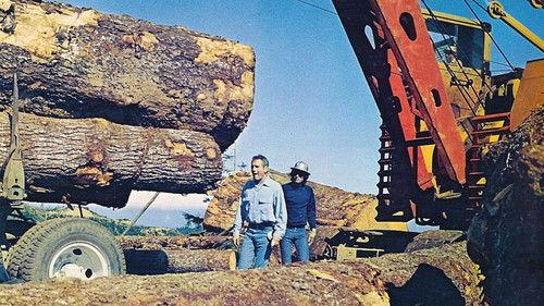 Sometimes a Great Notion filmas žiurėti online