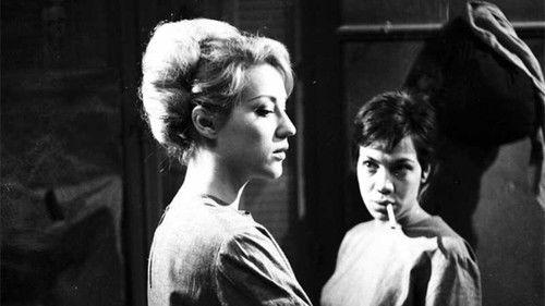 Stefania filmas žiurėti online