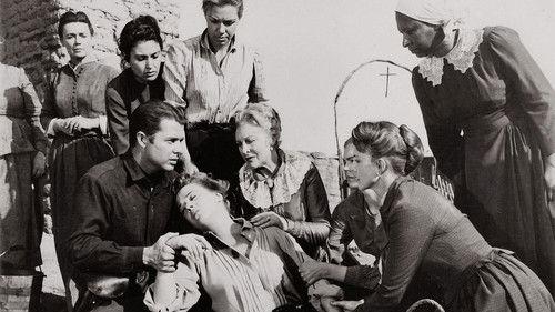 The Guns of Fort Petticoat filmas žiurėti online