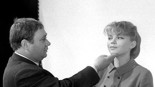 Zigzag of Success filmas žiurėti online