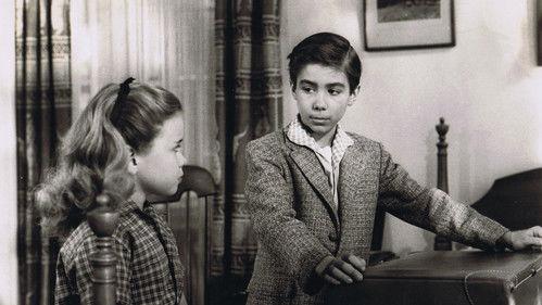 Courage of Black Beauty filmas žiurėti online