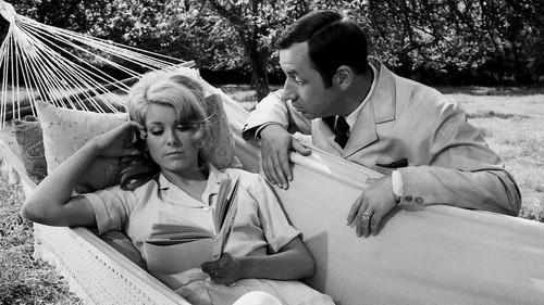 La Vie de château filmas žiurėti online