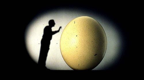 Il mnemonista filmas žiurėti online