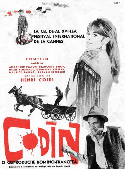 Codine filmas online