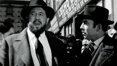 Not Guilty filmas žiurėti online