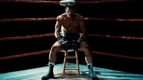 In Full Bloom filmas žiurėti online