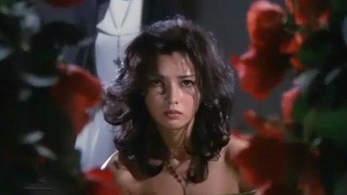 The Transgressor filmas žiurėti online