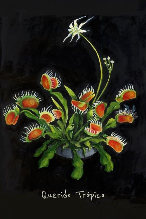 Querido Trópico filmas online