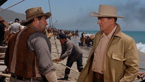 North to Alaska filmas žiurėti online