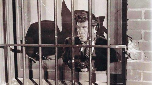 The Drag Net filmas žiurėti online