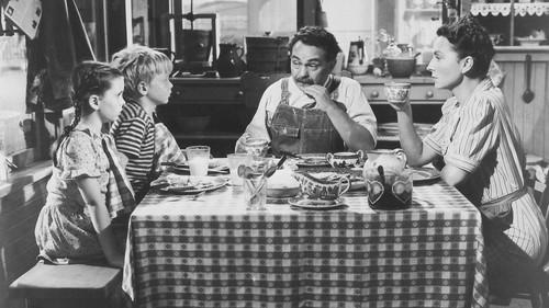 Our Vines Have Tender Grapes filmas žiurėti online