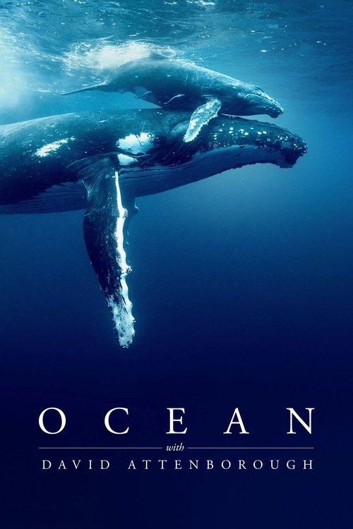 Ocean with David Attenborough filmas online