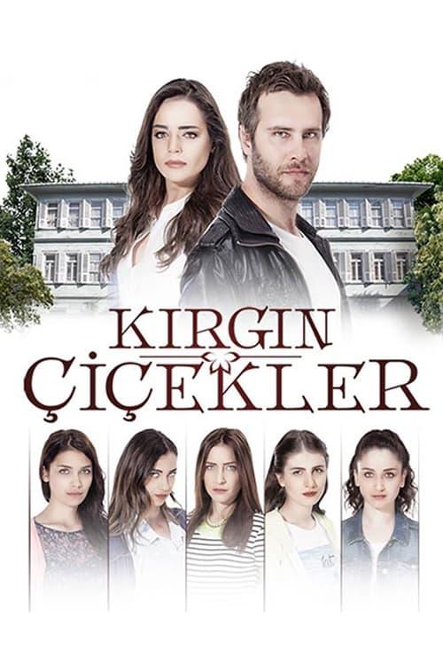 Našlaitės filmas online