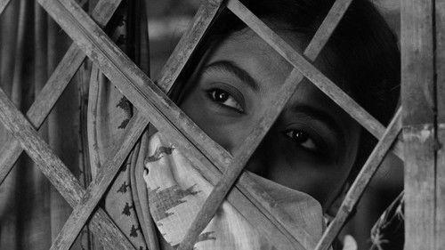 The Cloud-Capped Star filmas žiurėti online