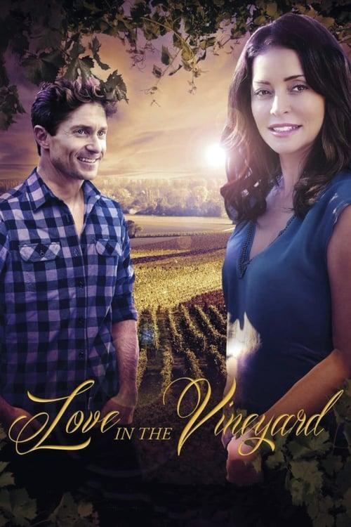 Love in the Vineyard filmas online