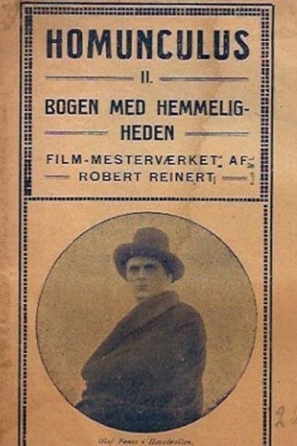 The Mysterious Book filmas online