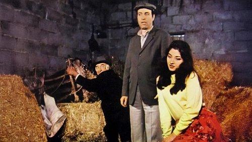 Tokatçı filmas žiurėti online