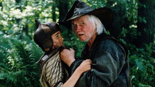 The Last Viking filmas žiurėti online