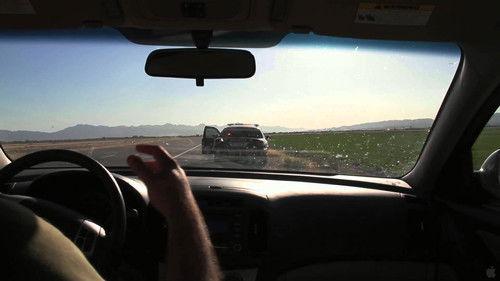 Geltonas pavojaus signalas filmas žiurėti online