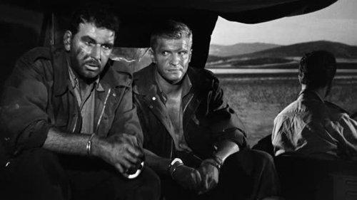 Escape from Sahara filmas žiurėti online