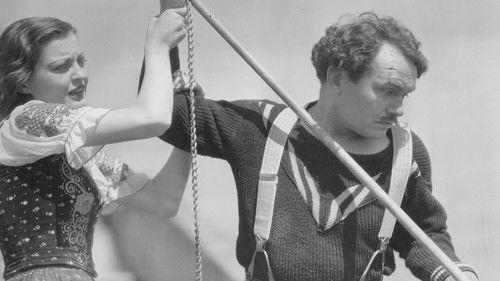 Tiger Shark filmas žiurėti online