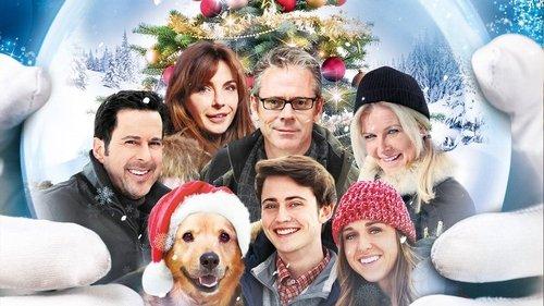 A Magic Christmas filmas žiurėti online