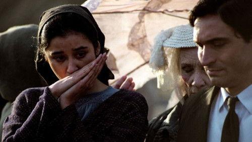 Dallas Pashamende filmas žiurėti online