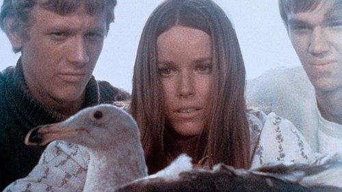 Last Summer filmas žiurėti online