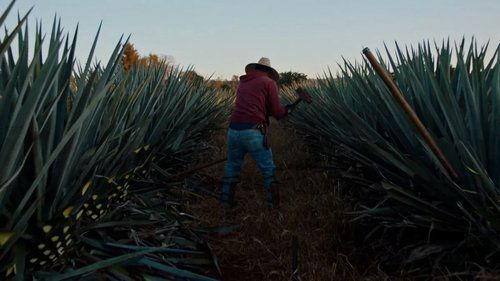 Dos Estaciones filmas žiurėti online