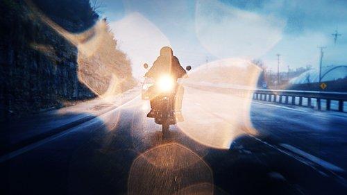 The Violent Heart filmas žiurėti online