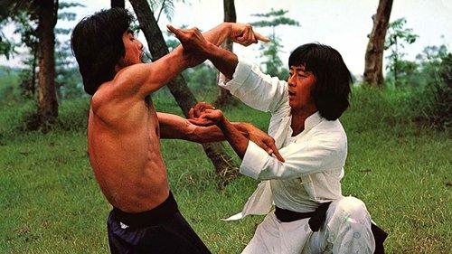 Drunken Arts and Crippled Fist filmas žiurėti online