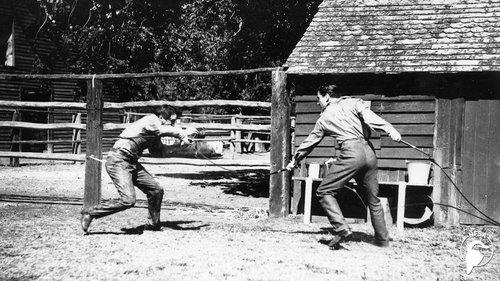 Rangle River filmas žiurėti online