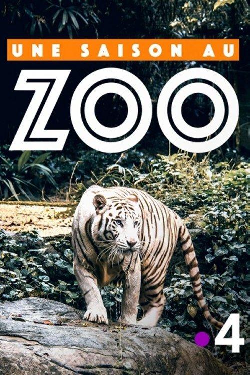 Une saison au zoo filmas online