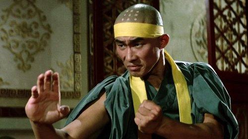 The Shaolin Plot filmas žiurėti online
