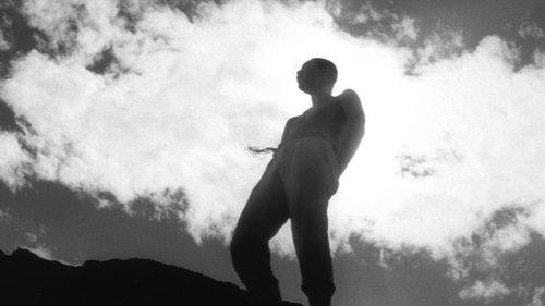 The Catch filmas žiurėti online