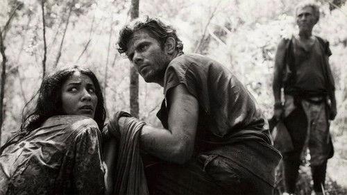 Tragic Jungle filmas žiurėti online