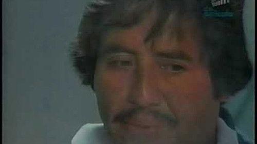 Mojado de nacimiento filmas žiurėti online