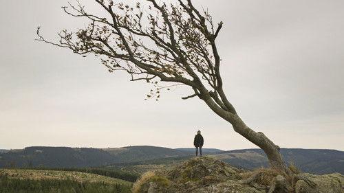 Nimfomanė. 2 dalis filmas žiurėti online